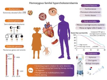 Aktualizace konsenzuálního prohlášení Evropské společnosti pro aterosklerózu o homozygotní familiární hypercholesterolemii z roku 2023: nové způsoby léčby a klinické pokyny